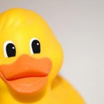 Avatar canard en plastique_1315513727